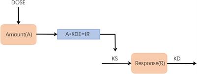 Optimization of the dosage regimen of zoledronic acid with a kinetic-pharmacodynamic model and exposure-response analysis